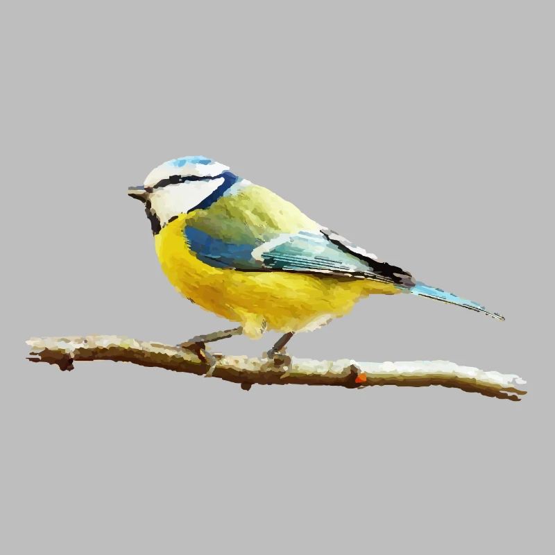 Titmouse