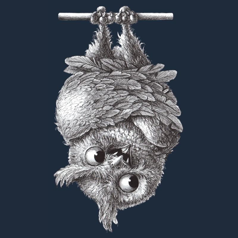 Vampir Eule - Dracula Eule