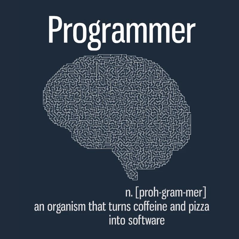 Programmeur cerveau PC ordinateur définition pizza lo