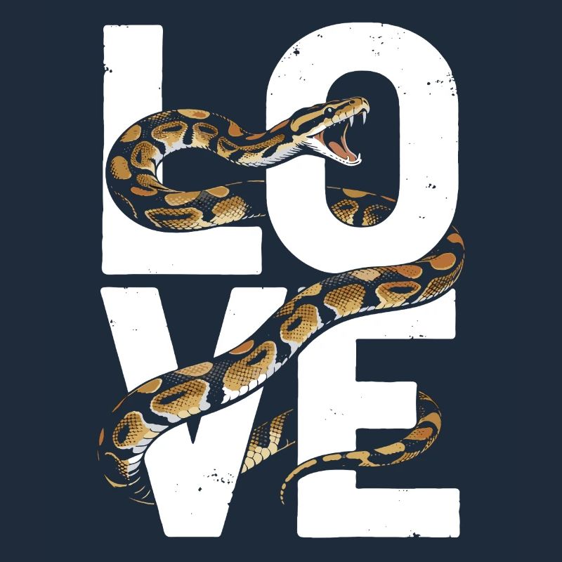 King Python Snakes LOVE Terrarium Python