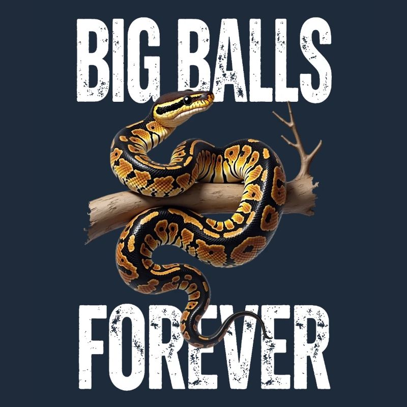 Python roi Serpents Amateurs de terrarium Python