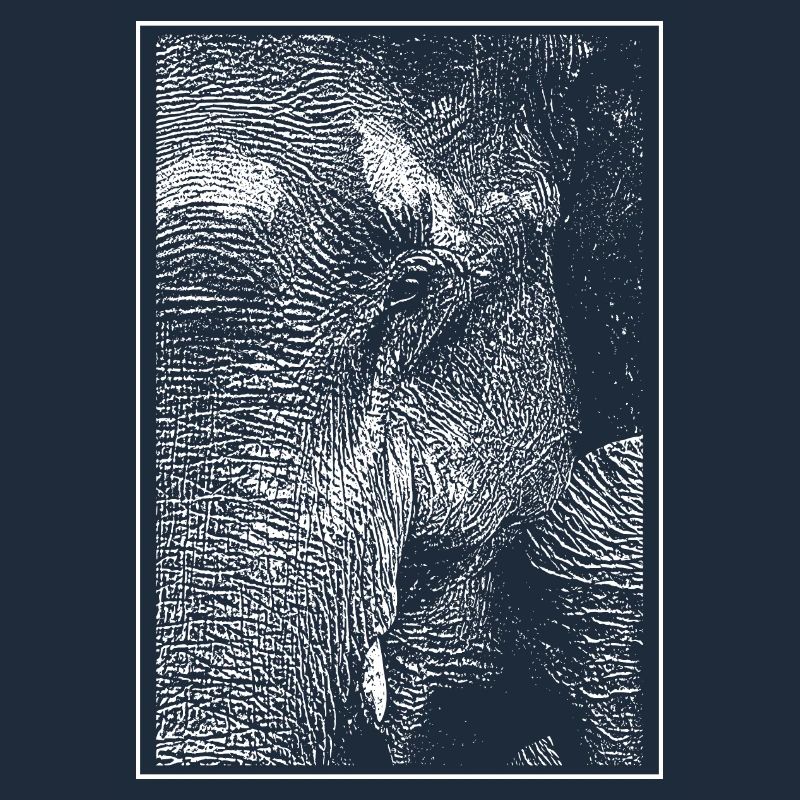 Eléphant blanc
