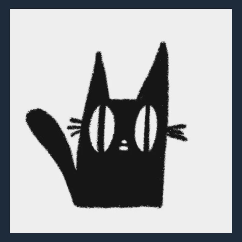 Mimi le chat noir