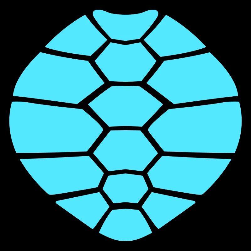 Turtle shell pattern turtle icon cool