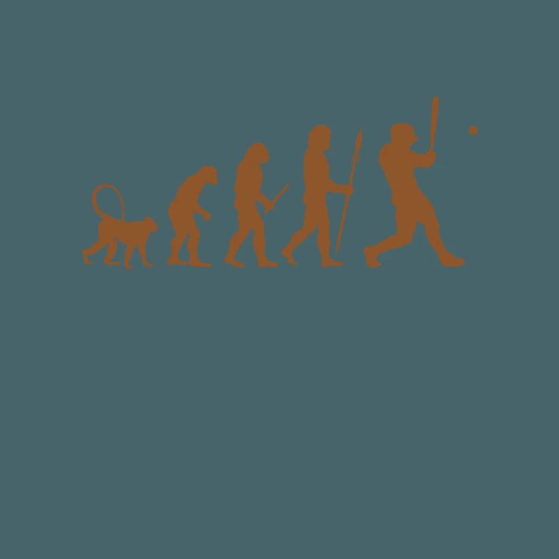 Baseball Evolution