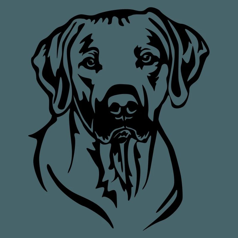 Rhodesian Ridgeback Head