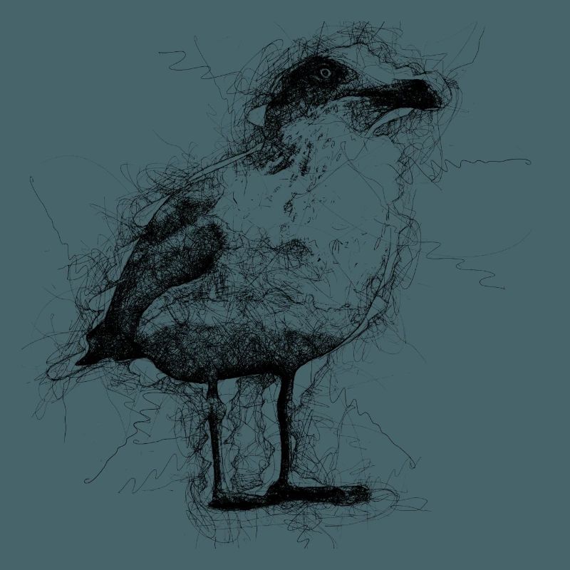 Möwe