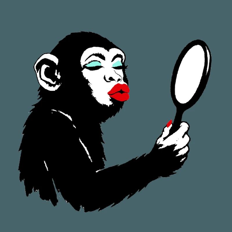Dame singe vaniteuse avec miroir