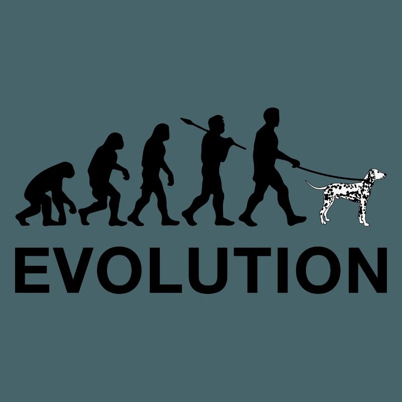 évolution