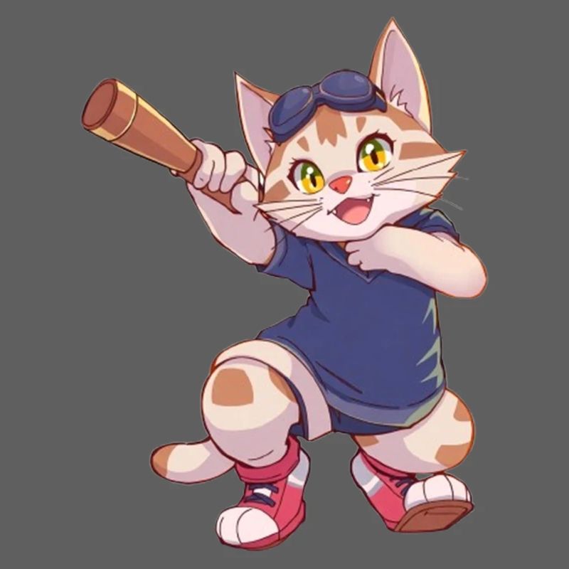 Chat, Chats