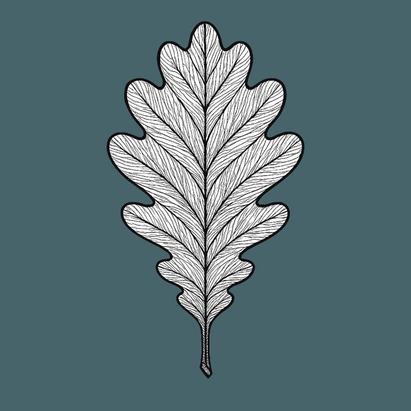 Monochromes Eichenblatt-Design