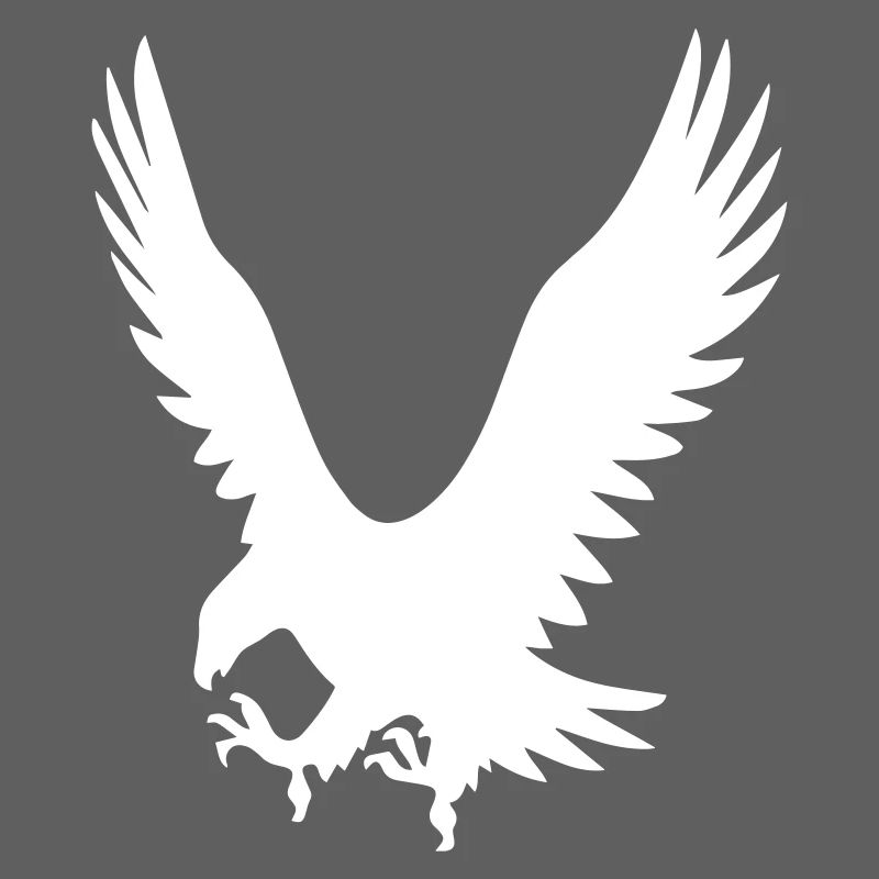 Les Eagles à l’attaque