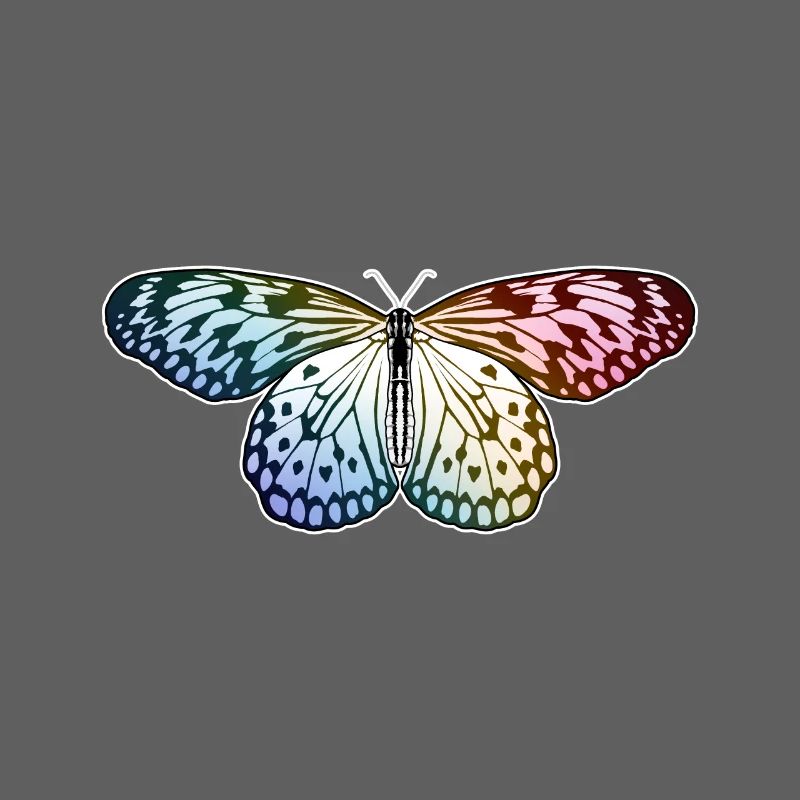 Butterfly Rainbow