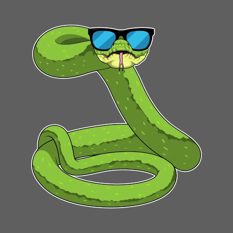 Lunettes de soleil Snake