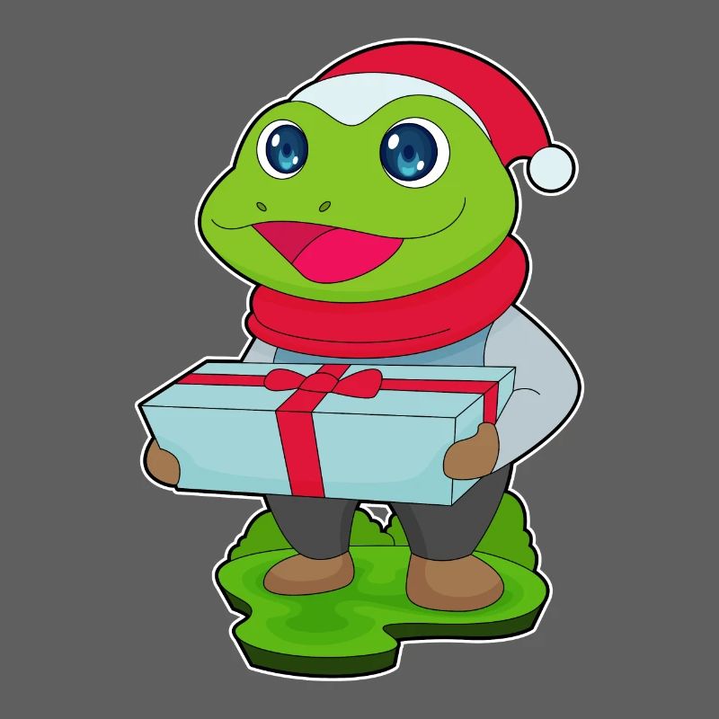 Frog Christmas Package