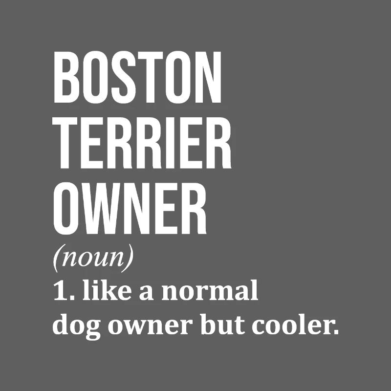 Boston Terrier