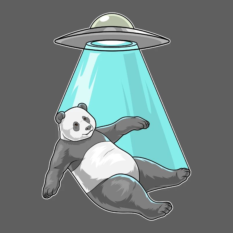 Vaisseau spatial Panda