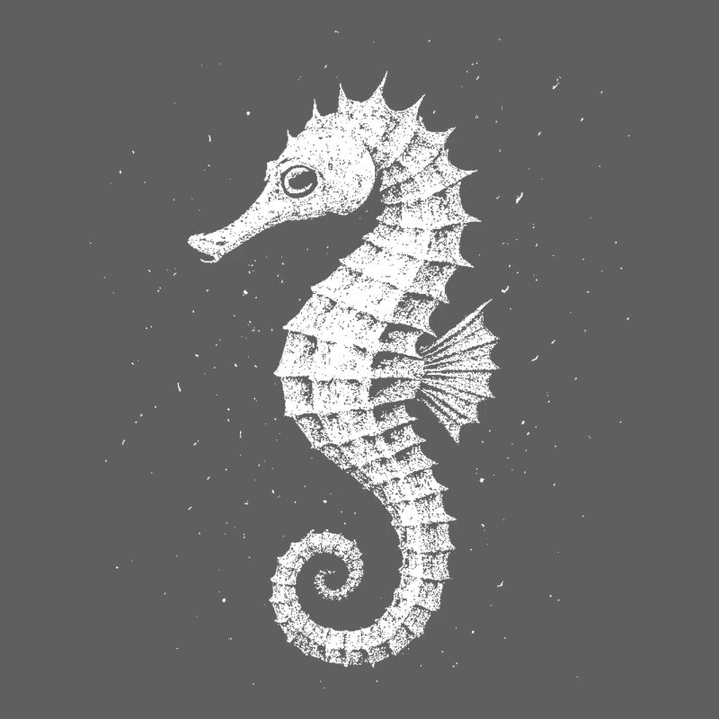 Hippocampe