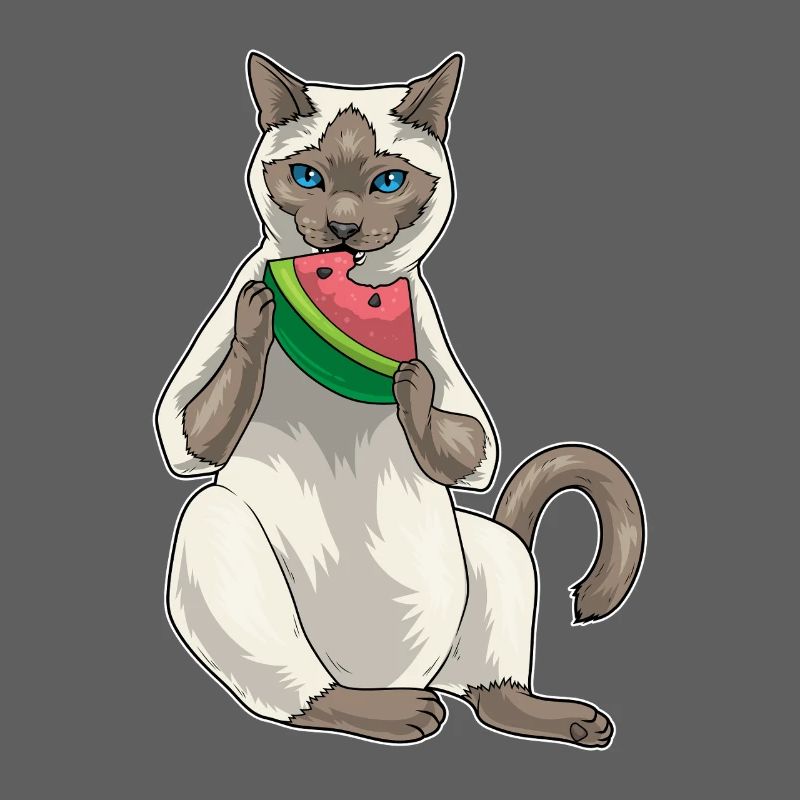 Chat siamois Pastèque