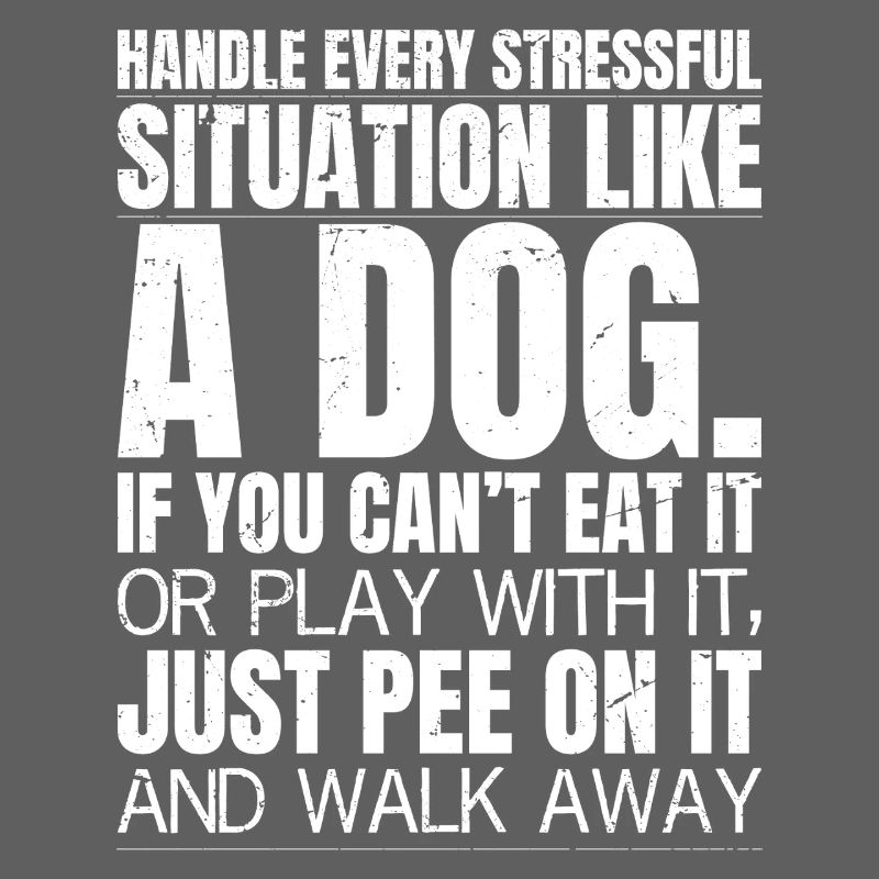 handle every stressful situation like a dog