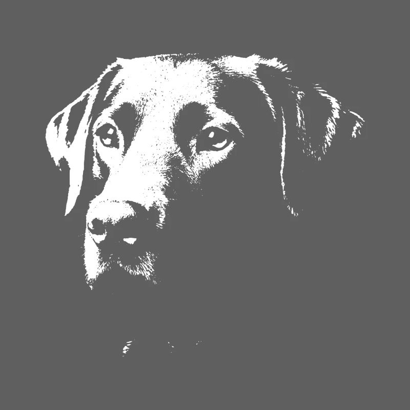 Labrador design stylé