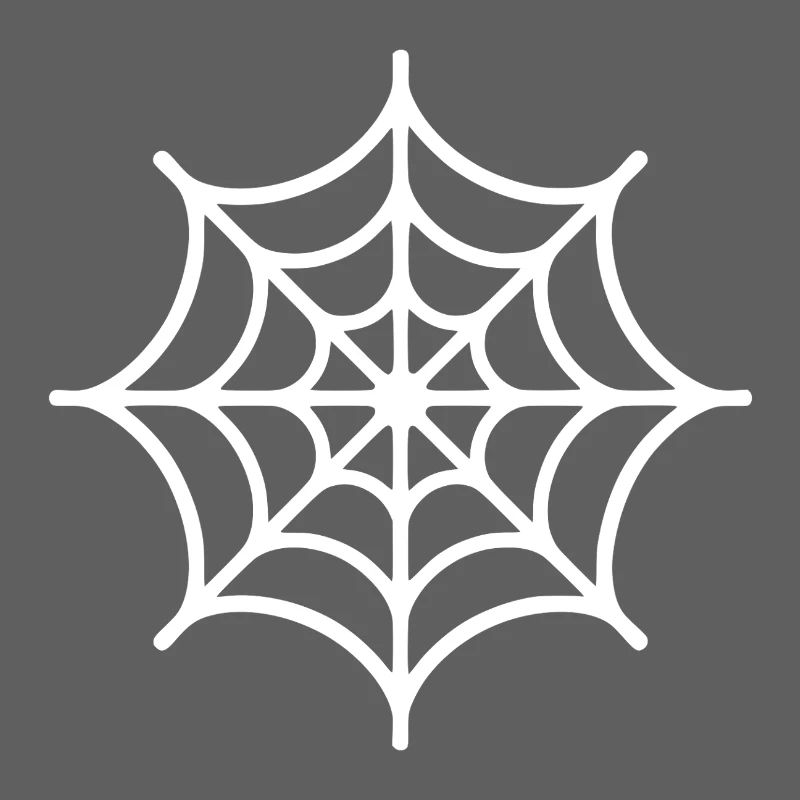 Spider Web Spider