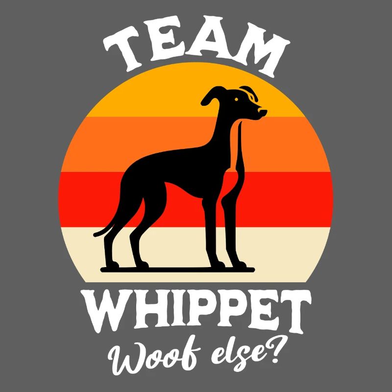 Équipe Greyhound