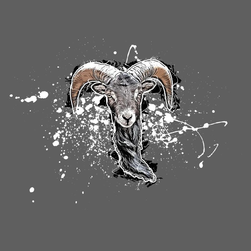 Bouc