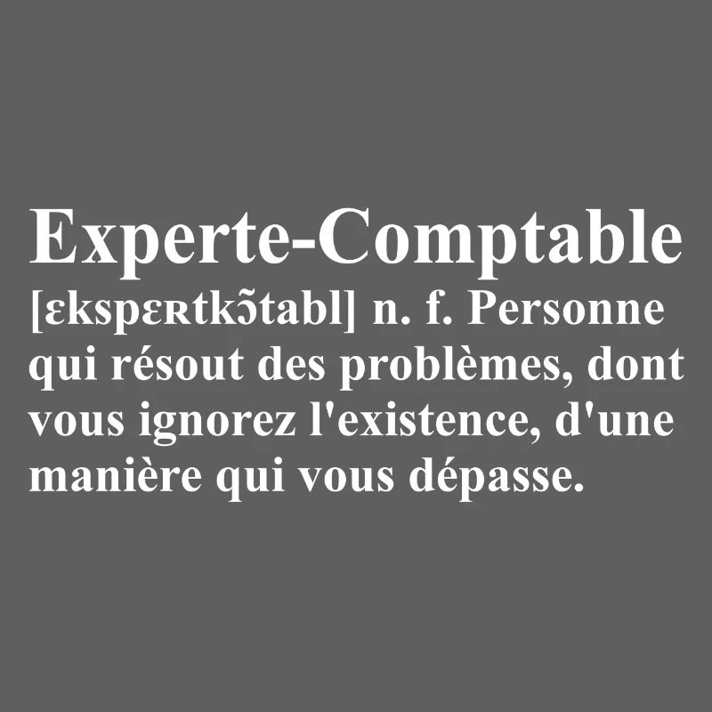 Experte-Comptable Définition