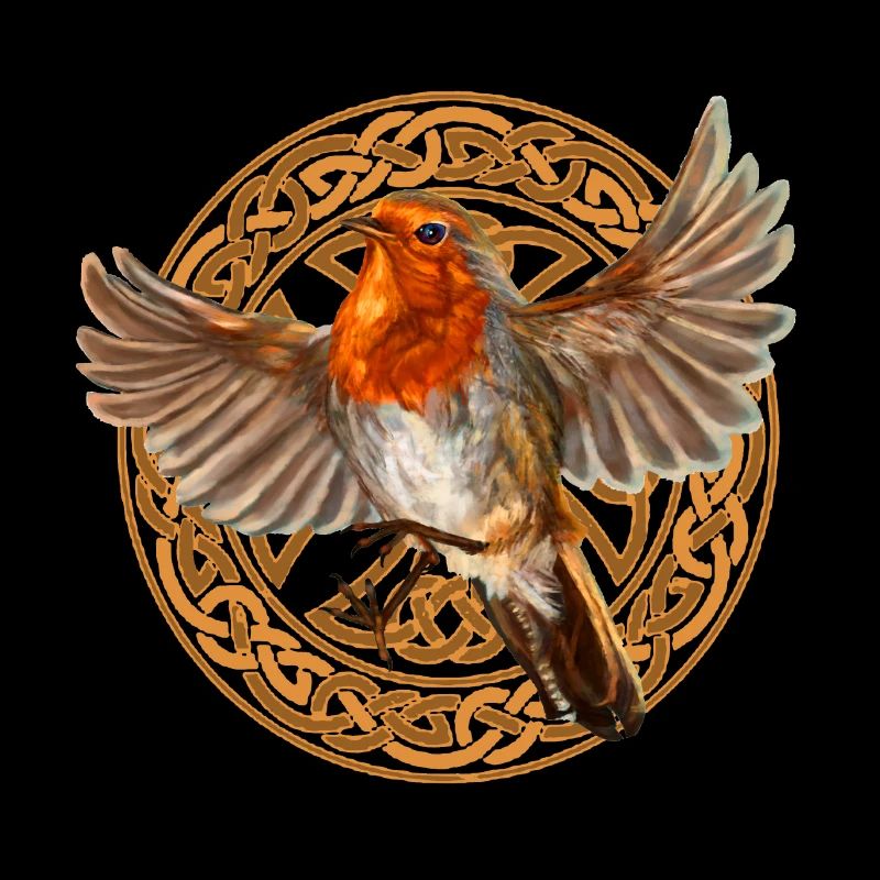 Robin bird