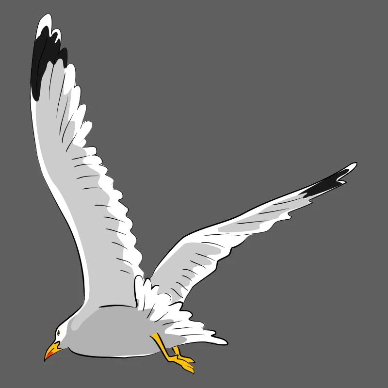 Möwe im Flug