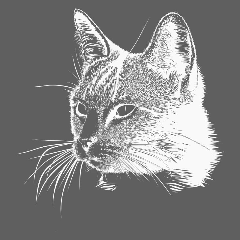Tête de chat - Blanc
