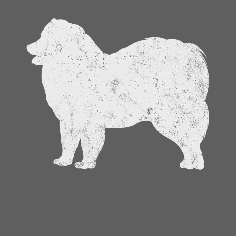 Samoyed Samoyed propriétaire de chien