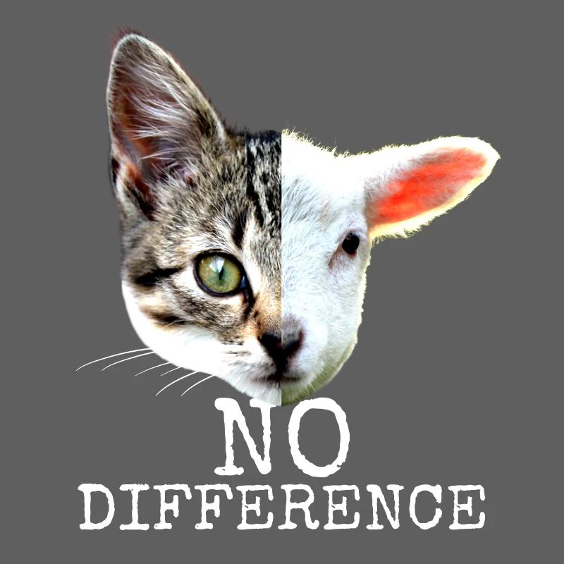 No Difference Pro Vegan Spruch Vegetarier Katzen