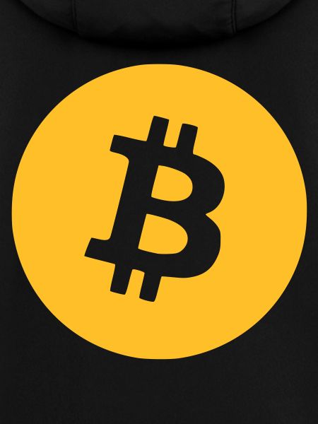 Le bitcoin
