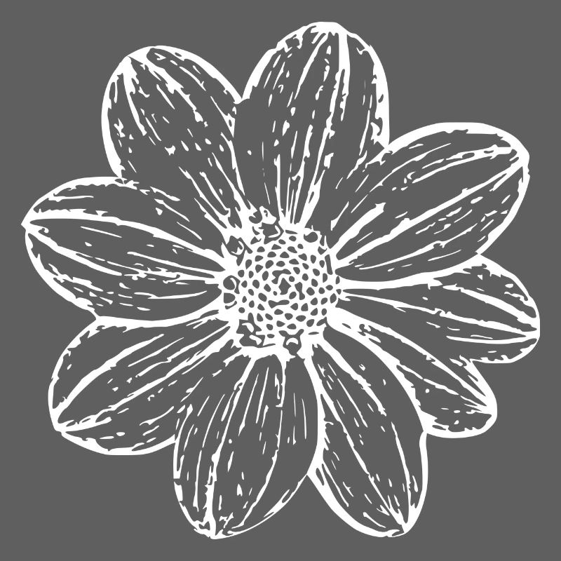 Fleur, Blanc, Fleur Blanche