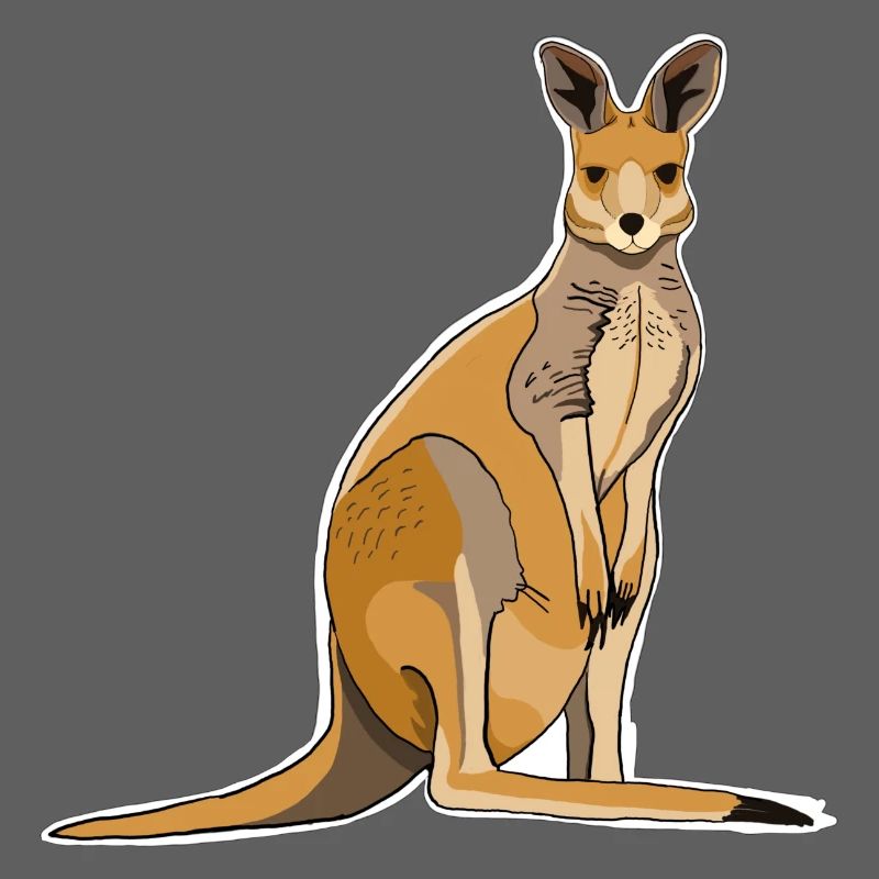 Kangaroo