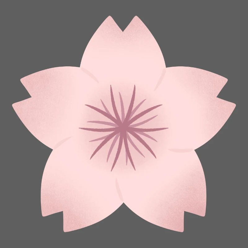 Rouge Kirschblüte