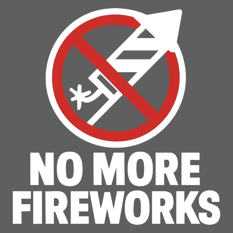 Plus de feux d’artifice – Édition du réveillon du Nouvel An