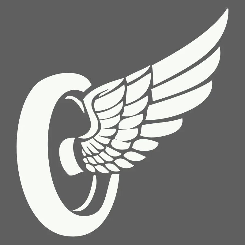 Ailerons de pneus