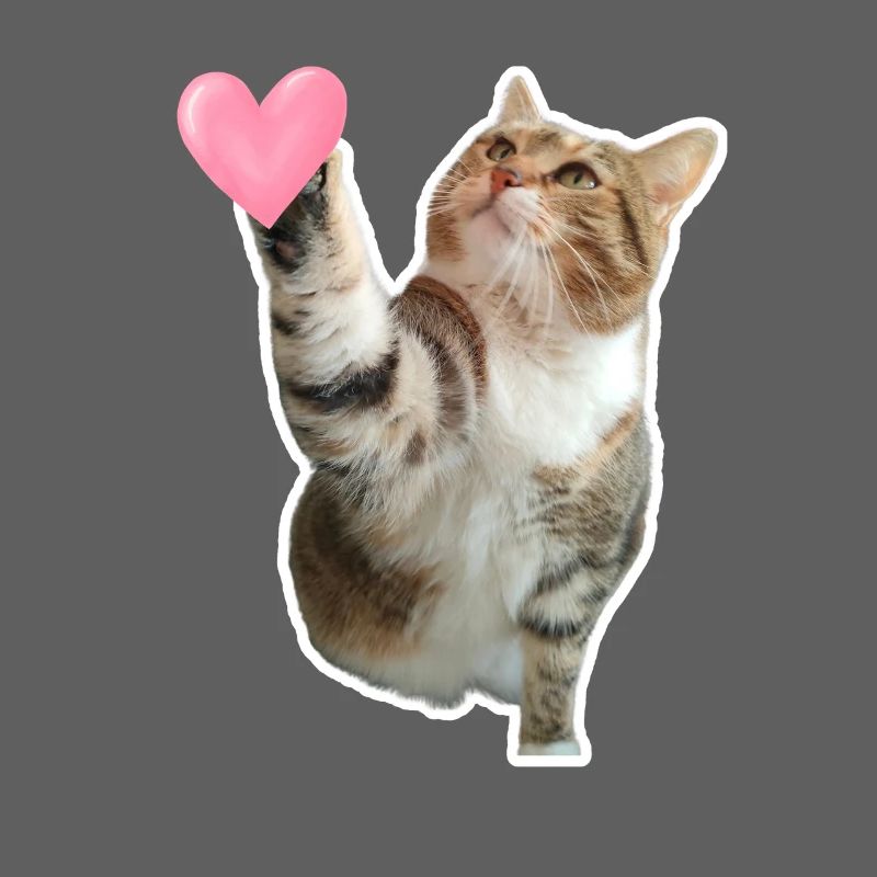 Missty check un coeur