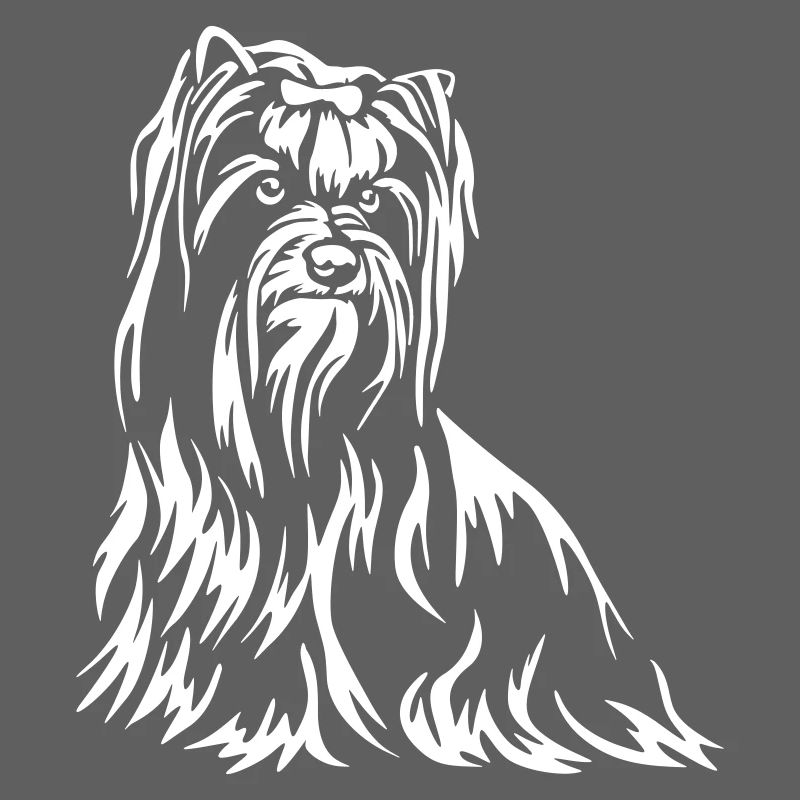 Yorkshire Terrier « Édition noire »