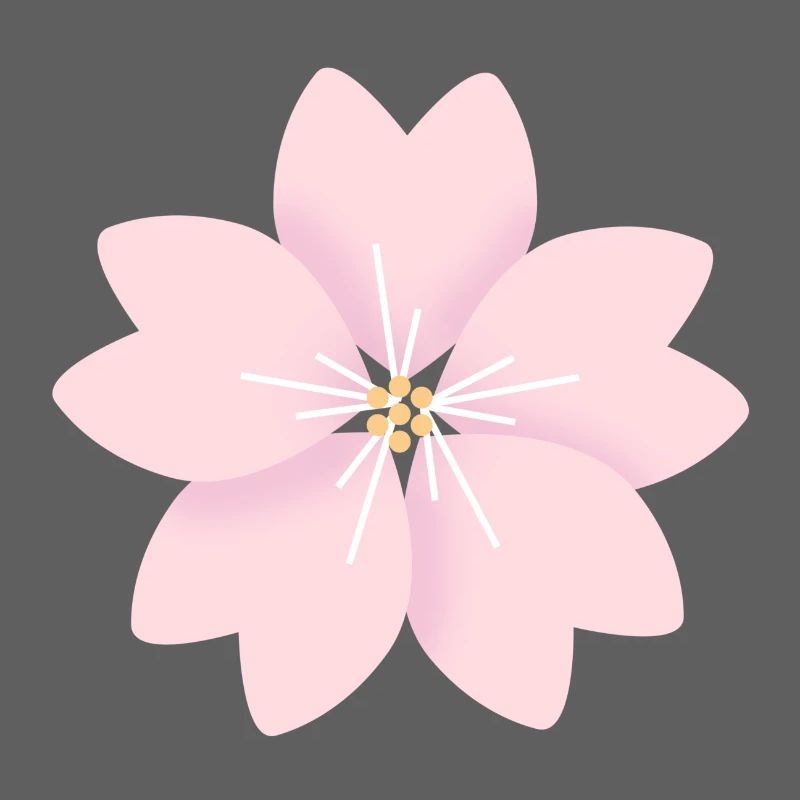 Fleur de cerisier