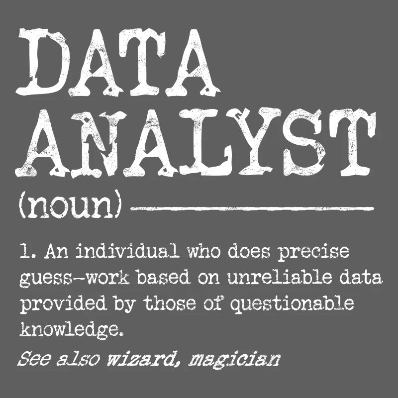 Data Analyst Meme Tee