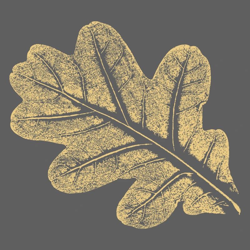 Blatt - Eiche / Botanik & Natur 