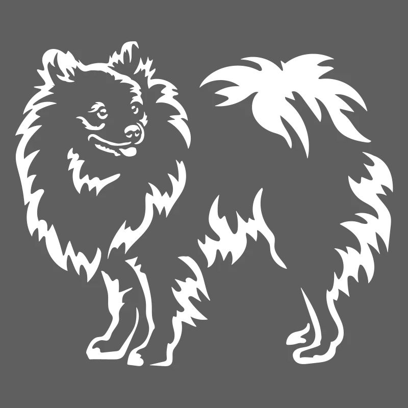 Spitz « Édition Noire »