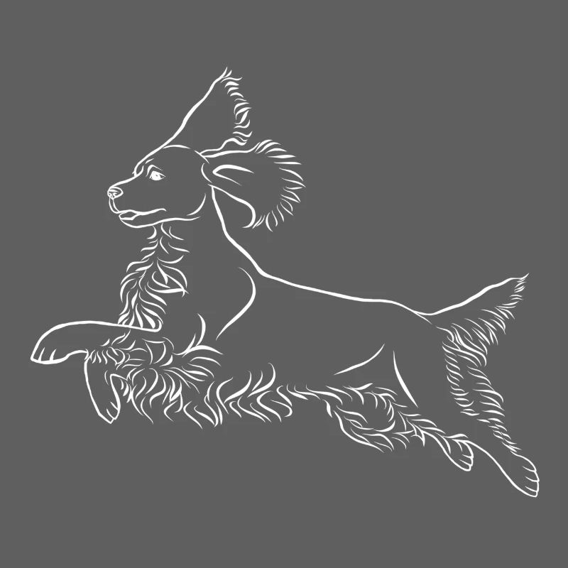 Springer Spaniel