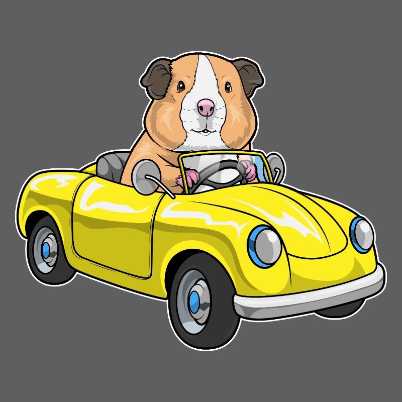 Voiture cochon d’Inde