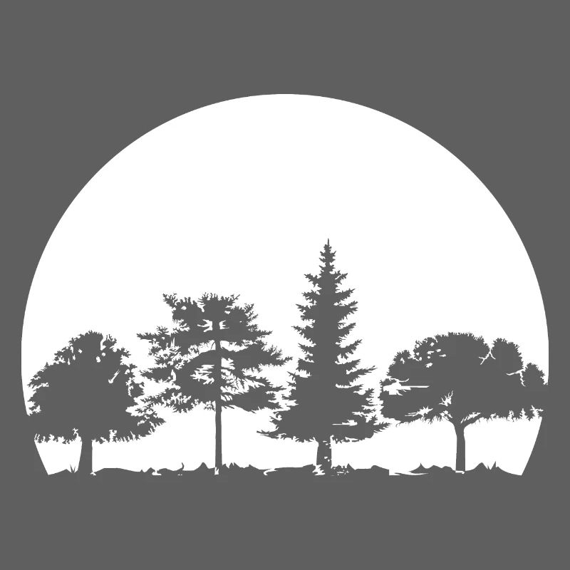 Forest, Moon, Mixed Forest, Nature, Oak, Beech, Birch, Spruce