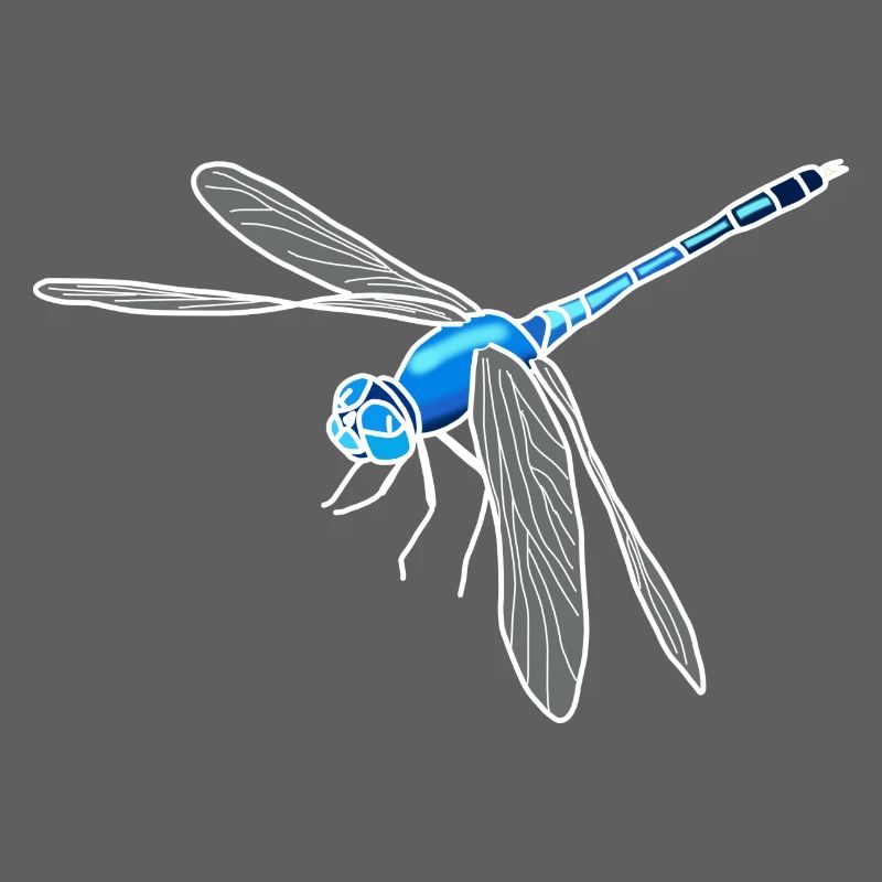 dragonfly